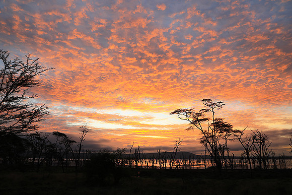 Lake Nakuru - sunrise