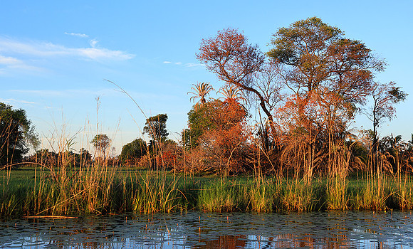 Delta of Okavango