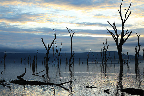 Lake Nakuru - sunrise