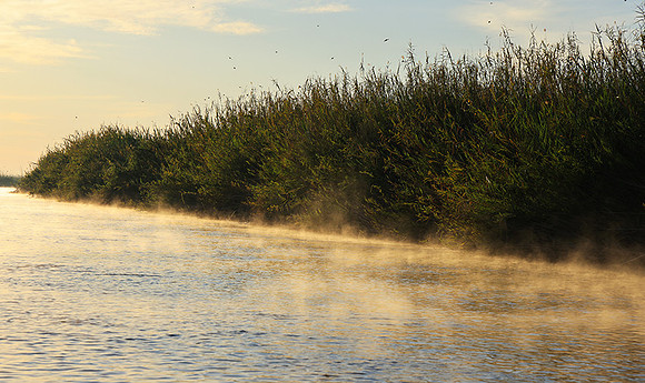 Delta of Okavango