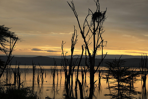 Lake Nakuru - sunrise