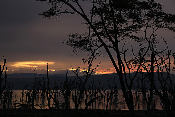Lake Nakuru - sunrise