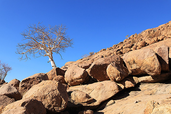 Damaraland