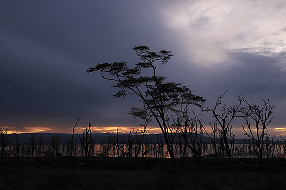 Lake Nakuru - sunrise