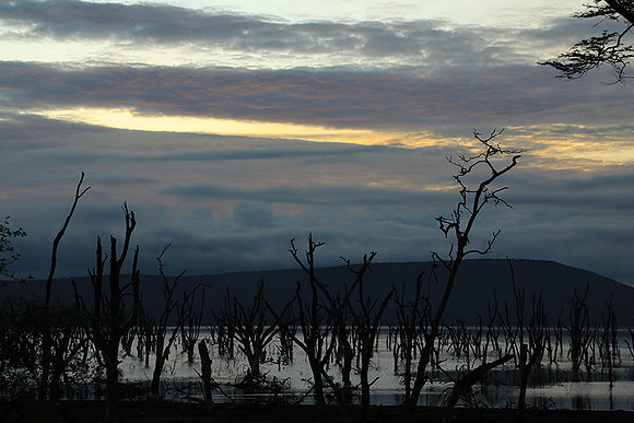 Lake Nakuru - sunrise