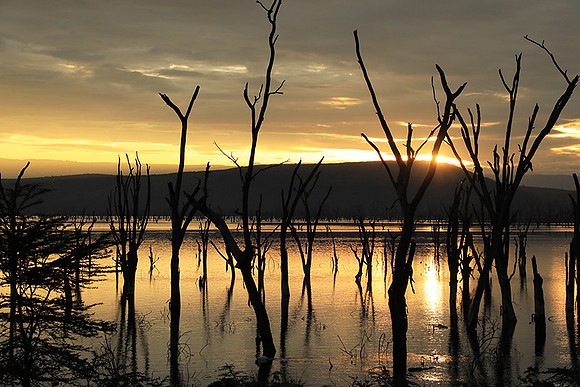 Lake Nakuru - sunrise