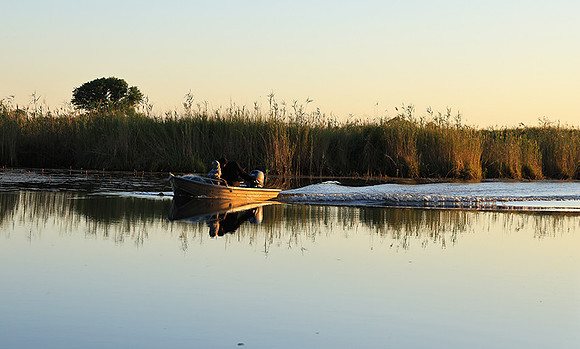 Delta of Okavango
