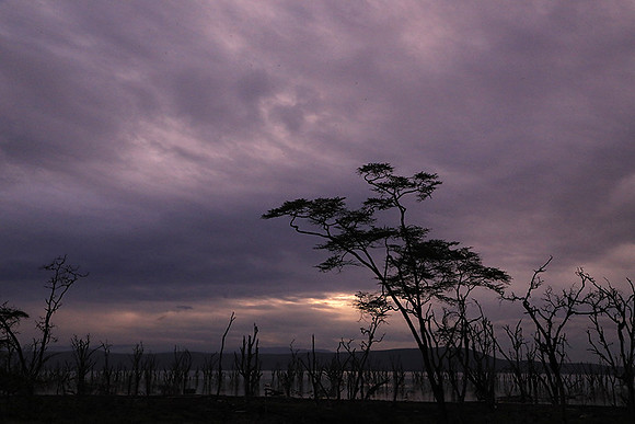 Lake Nakuru - sunrise