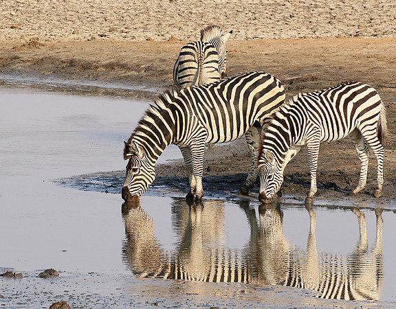 Hwange National Park