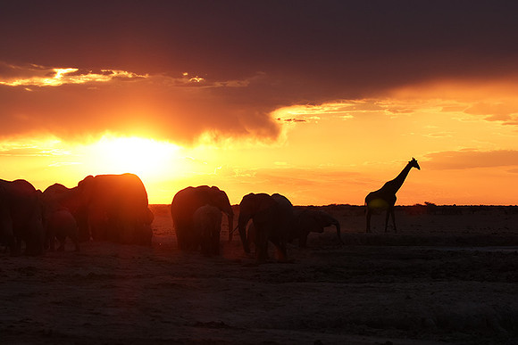 Sunset - Nxai Pan