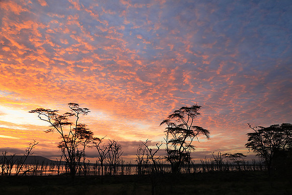 Lake Nakuru - sunrise
