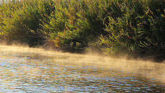 Delta of Okavango