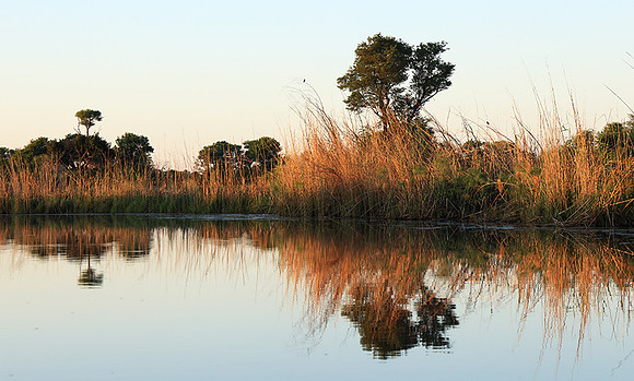 Delta of Okavango