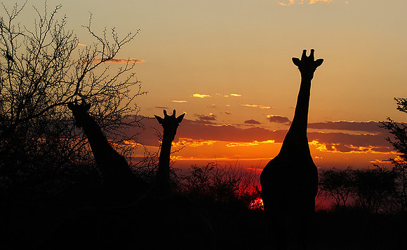 Sunset - Tau Pan