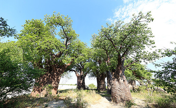 Botswana