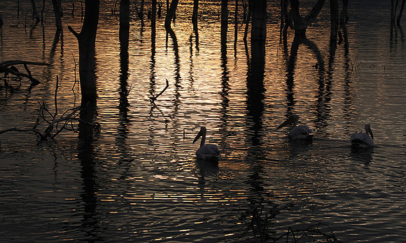 Lake Nakuru