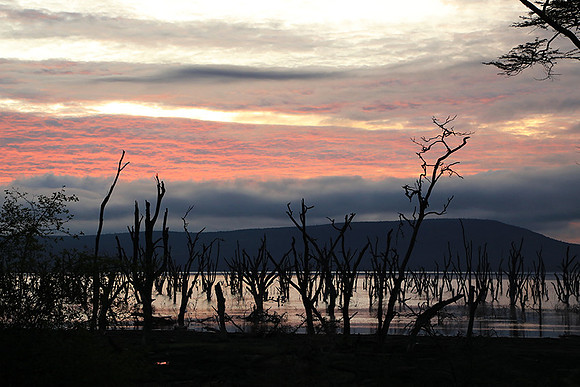 Lake Nakuru - sunrise