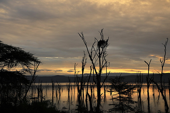 Lake Nakuru - sunrise