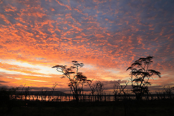 Lake Nakuru - sunrise