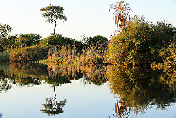 Delta of Okavango
