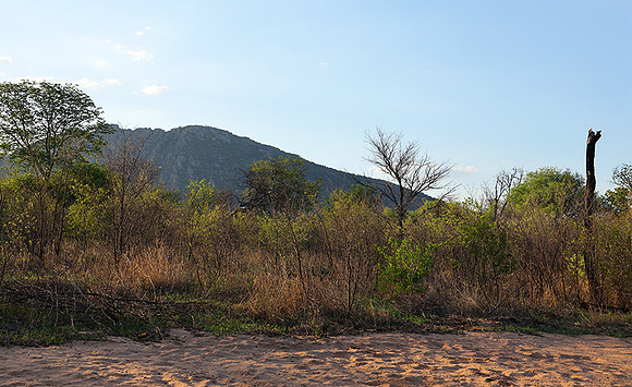Delta of Okavango