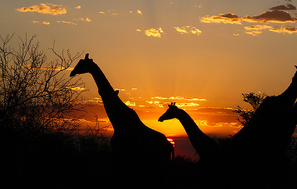 Sunset - Tau Pan