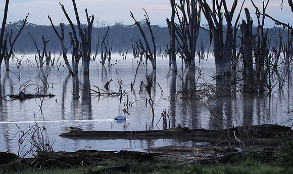Lake Nakuru
