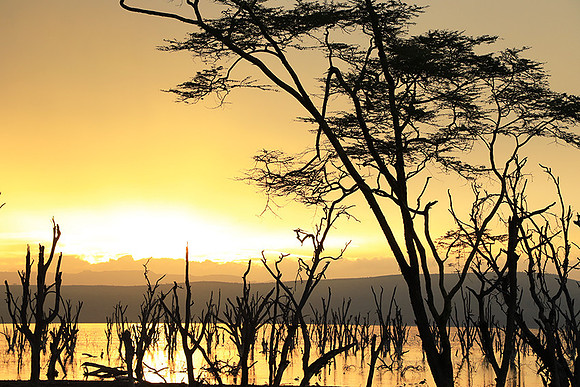 Lake Nakuru - sunrise