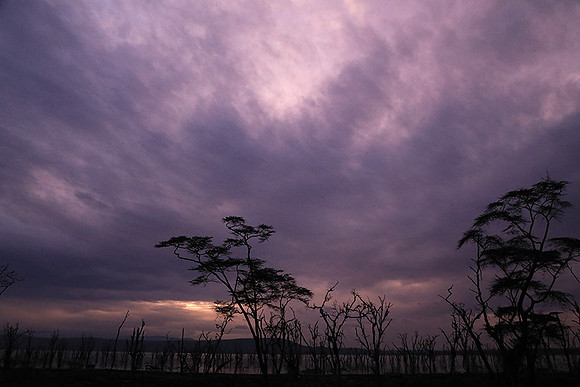 Lake Nakuru - sunrise