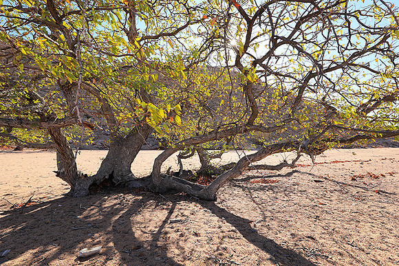 Damaraland