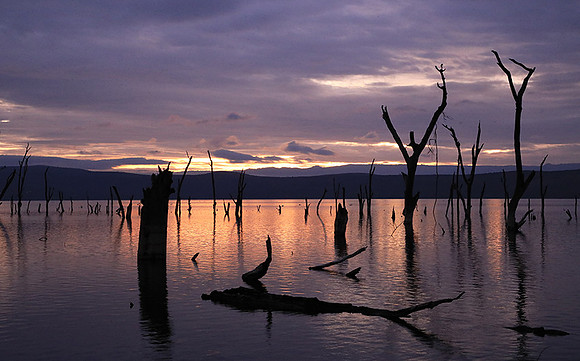 Lake Nakuru - sunrise
