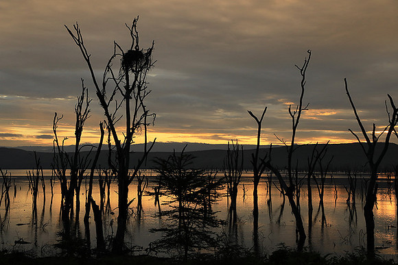 Lake Nakuru - sunrise