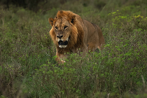 Nakuru