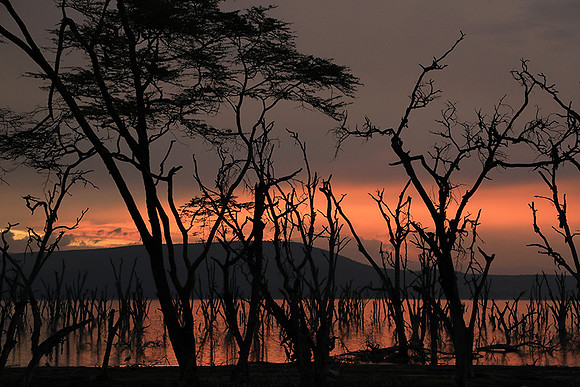Lake Nakuru - sunrise