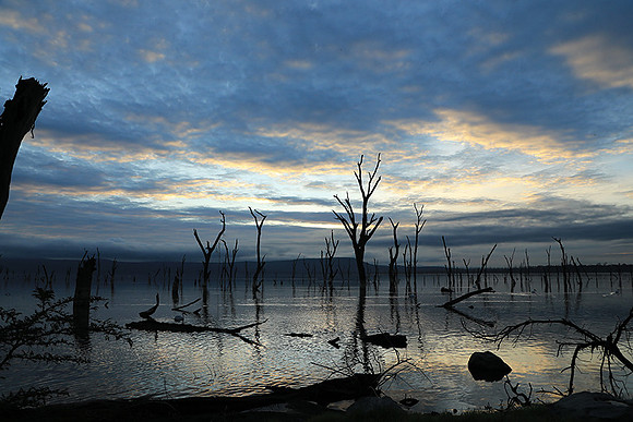 Lake Nakuru - sunrise