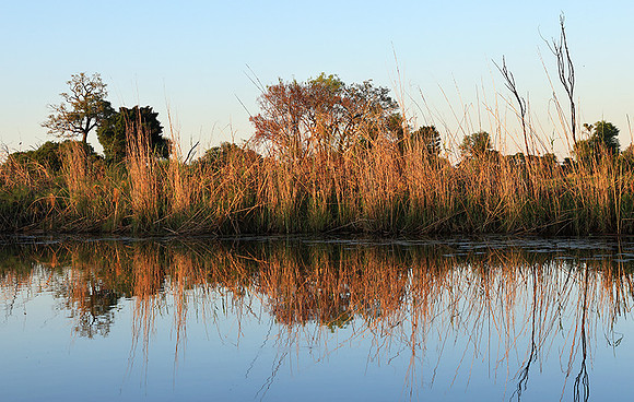 Delta of Okavango