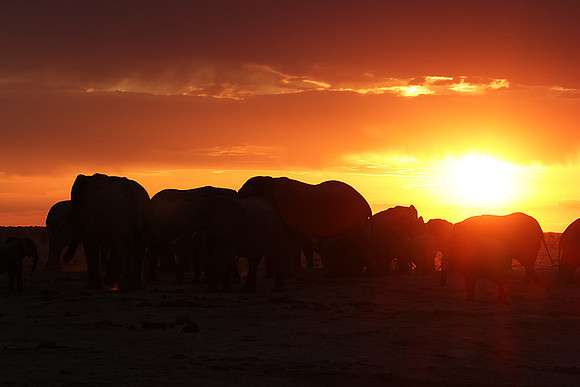 Sunset - Nxai Pan