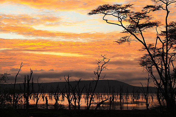 Lake Nakuru - sunrise