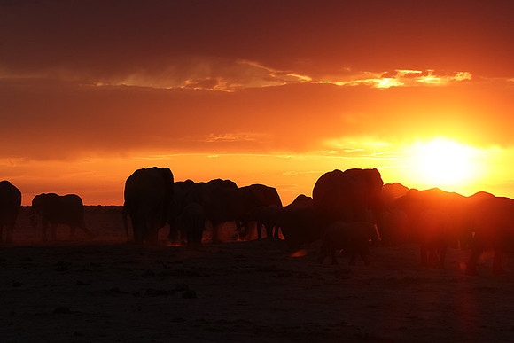 Sunset - Nxai Pan