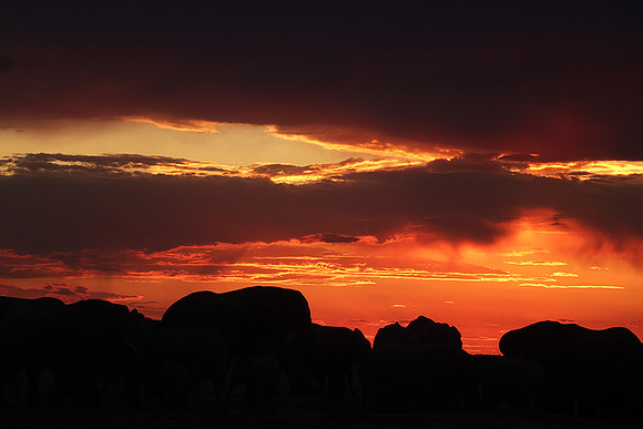 Sunset - Nxai Pan