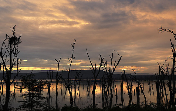 Lake Nakuru - sunrise