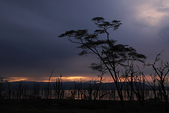 Lake Nakuru - sunrise