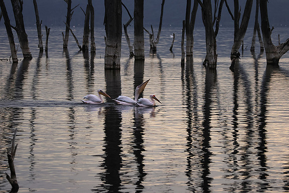 Lake Nakuru
