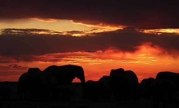 Sunset - Nxai Pan
