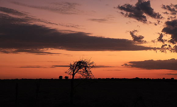 Sunrise - Nxai Pan