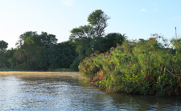 Delta of Okavango