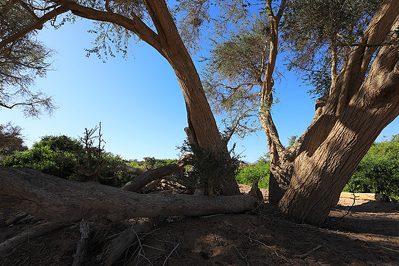 Damaraland