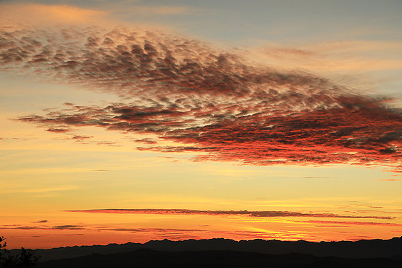 Sunrise Borana