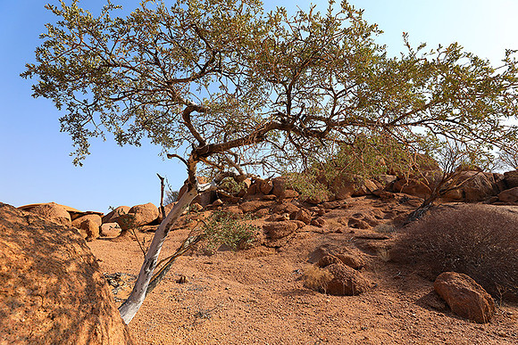 Damaraland