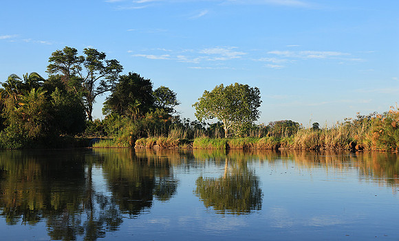 Delta of Okavango